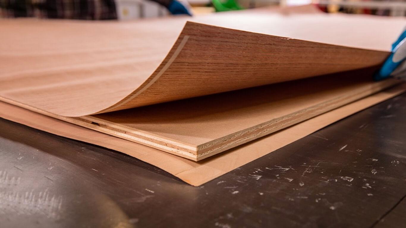 101 Plywoods: everything knows about plywood