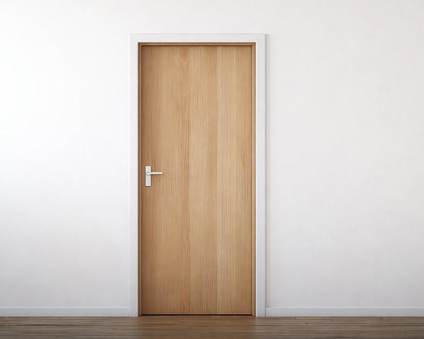 Are Flush Doors Durable