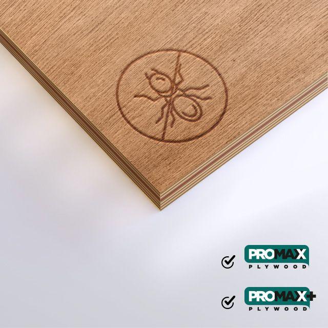 Termite and Borer Proof with 4x Ter-bo Kill Technology