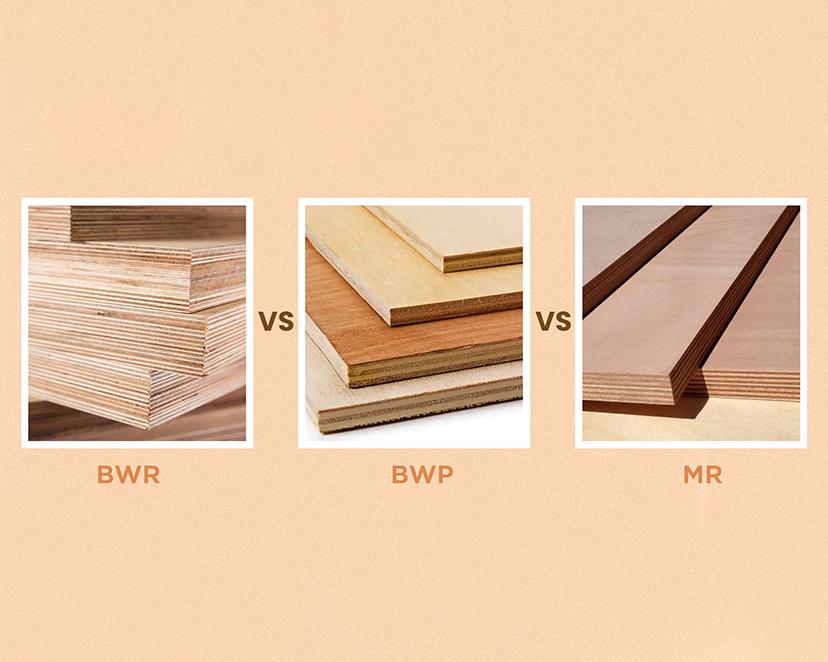 BWP vs BWR vs MR Plywood