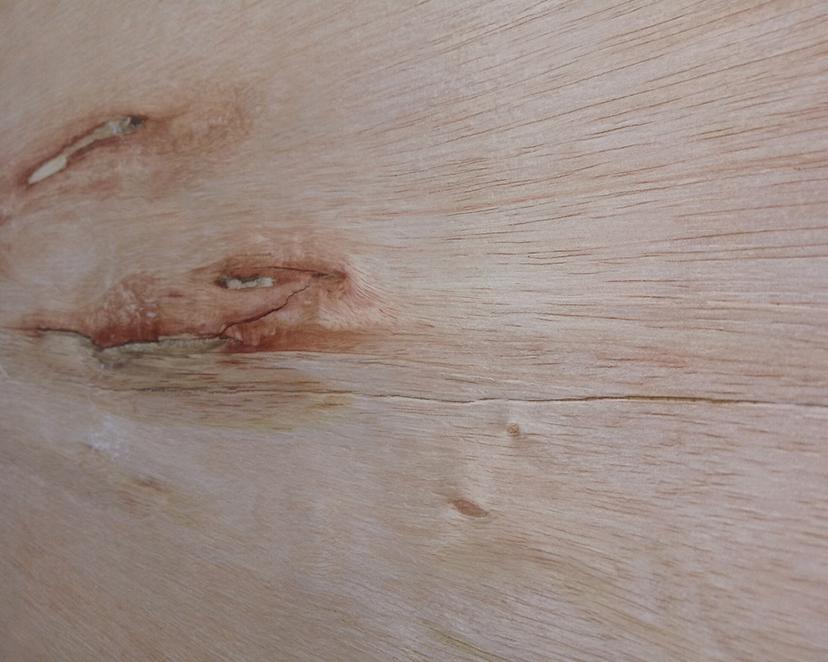 Plywood Defects