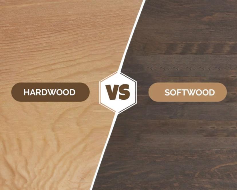 Hardwood vs Softwood Plywood