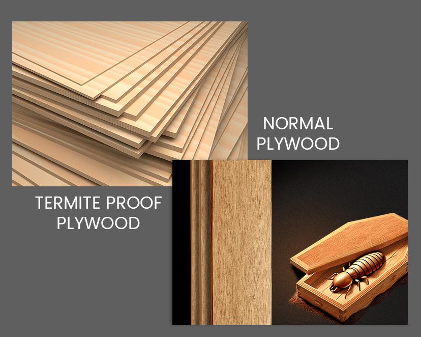 Termite Proof Plywood vs Normal Plywood