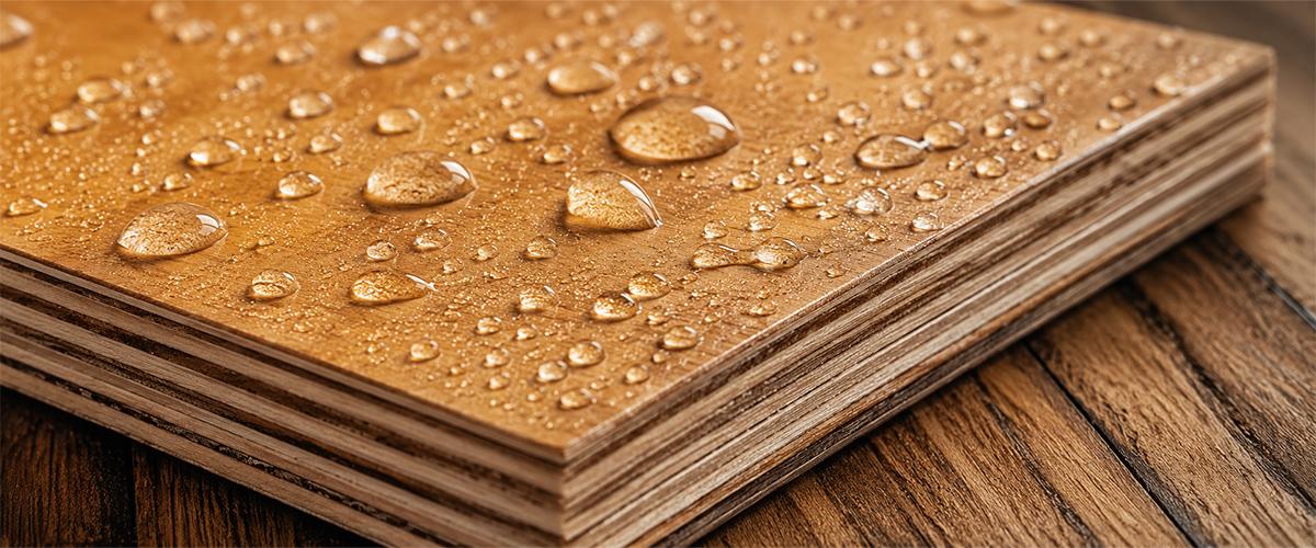 Water-Damaged Plywood